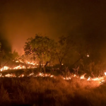 Brasil reduz em 12% emissões de gases do efeito estufa em 2023
